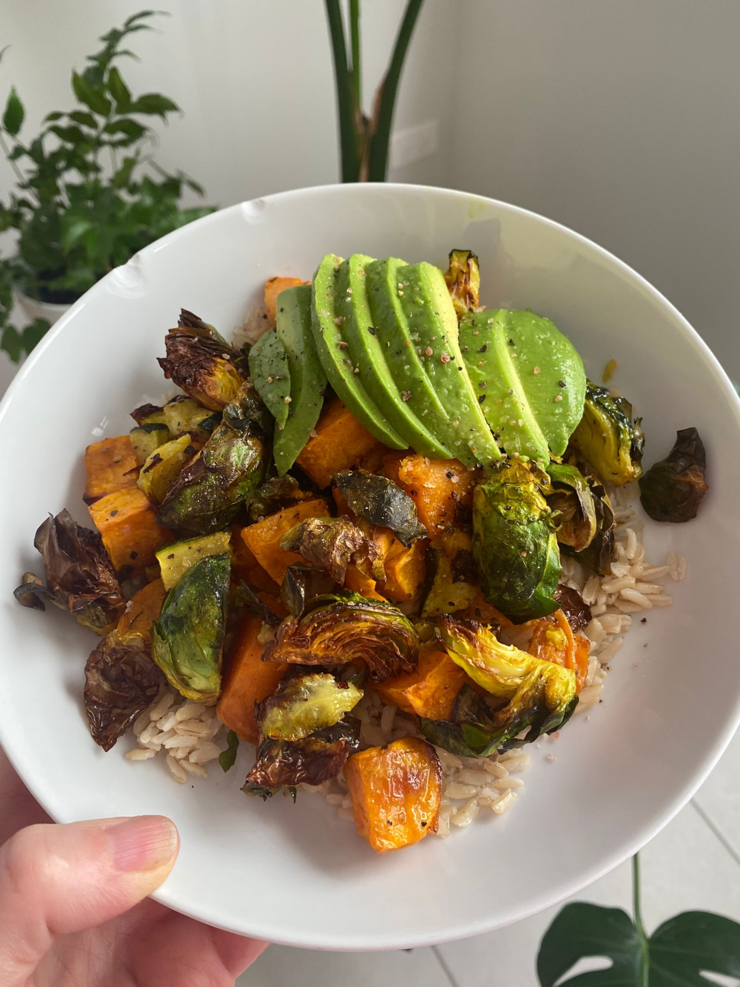 A nourish bowl with roasted sweet potato, brussels sprouts, avocado and rice